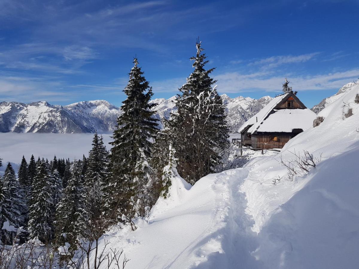 Chalet Gorenjka - Velika Planina Villa Stahovica Exterior foto