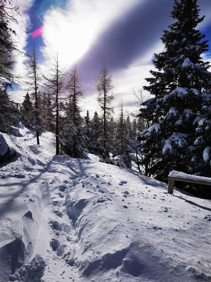 Chalet Gorenjka - Velika Planina Villa Stahovica Exterior foto