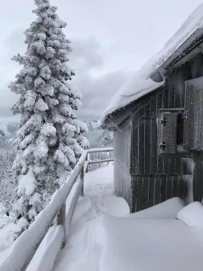 Chalet Gorenjka - Velika Planina Villa Stahovica Exterior foto