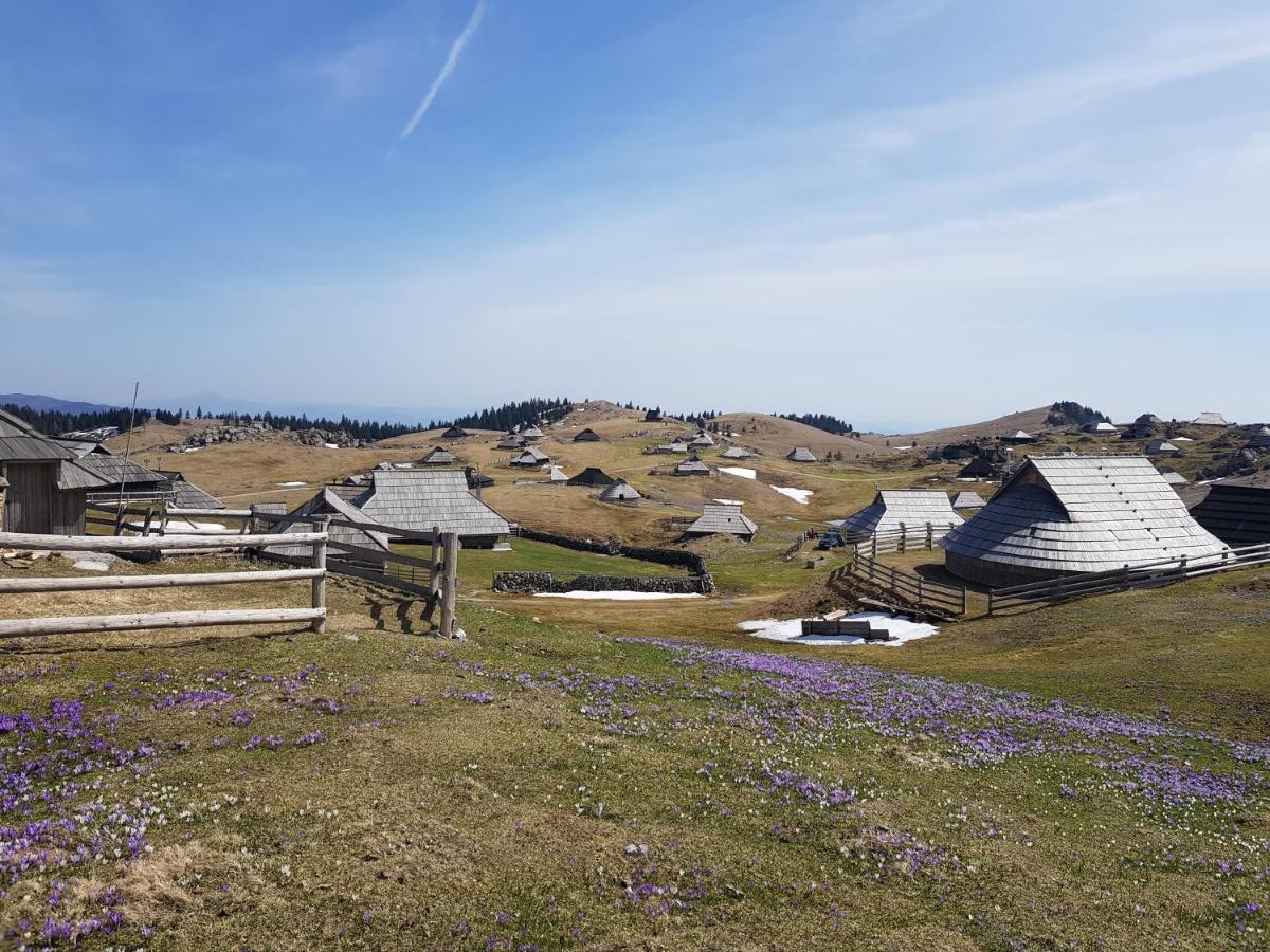 Chalet Gorenjka - Velika Planina Villa Stahovica Exterior foto